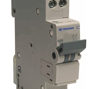 Interruptor termomagnético 1x25A.