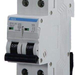 C10A20050 Interruptor Termomagnético 2x50A